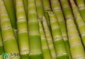竹筍不焯水有毒嗎？竹筍不過水能吃嗎？