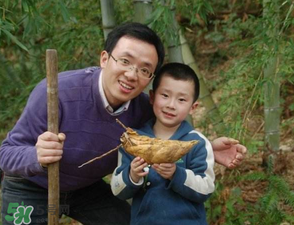 竹筍什么時候挖？竹筍幾月挖？