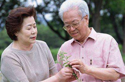 高血脂能不能吃雞蛋？血脂高可以吃雞蛋嗎
