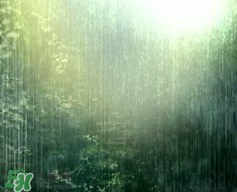 四月份會(huì)一直下雨嗎？2017年四月份為什么一直下雨？