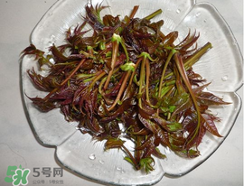 涼拌香椿要過水嗎？香椿涼拌前需要用開水焯一下嗎？