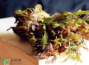 香椿很貴嗎？香椿為什么那么貴？