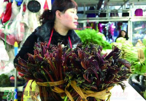 香椿很貴嗎？香椿為什么那么貴？