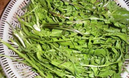 地菜是什么菜？地菜是不是薺菜