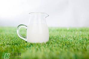 香椿可以和牛奶一起吃嗎？香椿和牛奶能一起吃嗎？