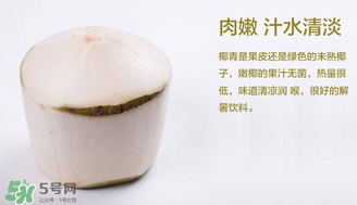 孕婦能不能喝椰青？椰青孕婦能喝嗎？