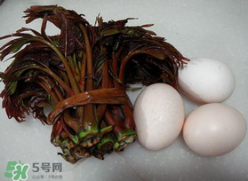 哺乳期可以吃香椿炒雞蛋嗎？哺乳期可以吃香椿炒雞蛋嗎？