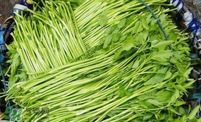 水芹菜怎么吃？水芹菜的做法
