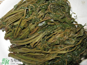 腌香椿要燙嗎？香椿腌之前用不用開水燙？