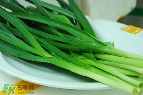 蒜苗發(fā)黃怎么回事？蒜苗發(fā)黃是什么原因？