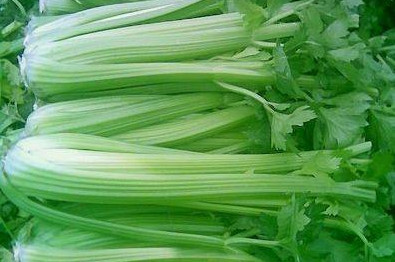 水芹菜和芹菜一樣嗎？水芹菜和芹菜的區(qū)別