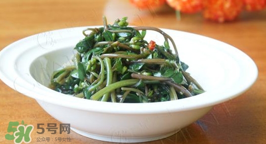 馬莧菜怎么吃？馬莧菜怎么做好吃