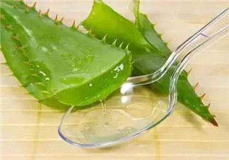 孕婦能喝蘆薈汁嗎？孕婦可以喝蘆薈汁嗎？