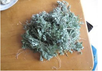 白蒿是茵陳嗎？白蒿與茵陳有什么區(qū)別