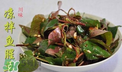 吃魚腥草可以喝酒嗎？吃魚腥草能喝酒嗎
