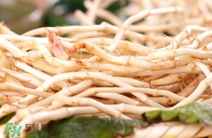 新鮮魚腥草怎么煮水？魚腥草怎么煮水喝