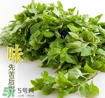 枸杞頭怎么吃？枸杞頭如何吃