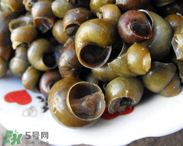 田螺可以凈化水質(zhì)嗎？田螺能凈化水質(zhì)嗎？