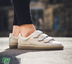 puma careaux新款什么時(shí)候發(fā)售？彪馬玫瑰聯(lián)名2017什么時(shí)候上市？