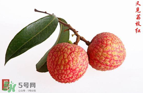 4月份有荔枝嗎？四月份有荔枝嗎？