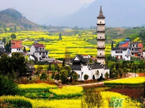 四月份去哪里旅游比較好？四月份最適合旅游的地方