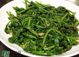 枸杞頭怎么吃？枸杞頭如何吃