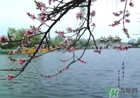 四月份去哪里旅游比較好？四月份最適合旅游的地方