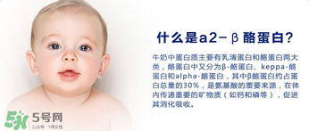 A2奶粉分幾種？A2奶粉有幾個種類？