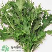 艾蒿能吃嗎？艾蒿能做菜吃嗎