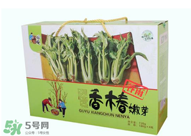香椿能泡茶嗎？香椿茶的功效與作用