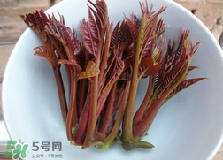 香椿和雞肉可同吃嗎？香椿和雞肉能一起吃嗎？