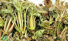 香椿和平菇能一起吃嗎？香椿和香菇能一起吃嗎？