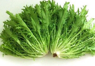 苦苣怎么吃？炒苦苣菜的做法
