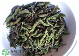 蒸構(gòu)樹花兒孕婦可以吃嗎？孕婦可以吃蒸構(gòu)樹花兒嗎？