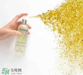 歐緹麗和悅木之源哪個好？歐緹麗皇后水和悅木之源菌菇水