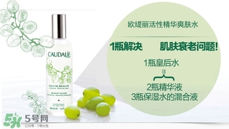 歐緹麗和悅木之源哪個好？歐緹麗皇后水和悅木之源菌菇水
