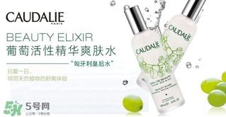 歐緹麗和悅木之源哪個好？歐緹麗皇后水和悅木之源菌菇水