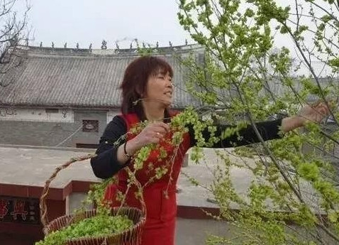 榆錢怎么蒸？蒸榆錢的做法