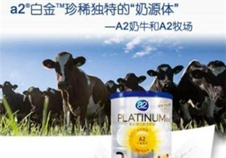 A2奶粉分白金和鉑金嗎？A2奶粉白金鉑金有區(qū)別嗎？