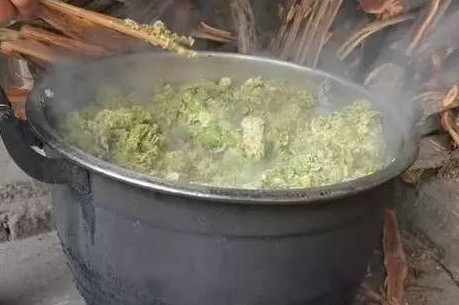 榆錢怎么蒸？蒸榆錢的做法