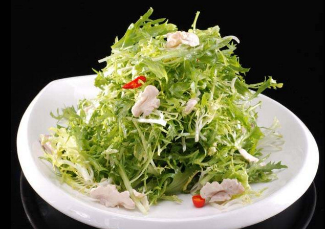 苦菊和什么相克？苦菊不能和什么同吃
