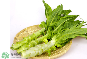 萵筍能放冰箱嗎？萵筍放冰箱能吃嗎？