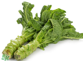 萵筍為什么會(huì)苦？萵筍苦能吃嗎？