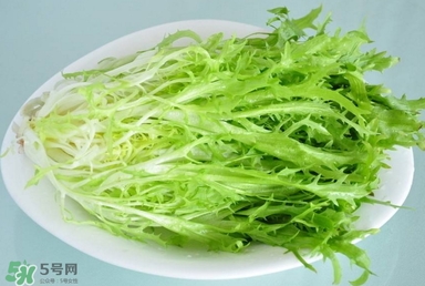 苦苣根哪里有賣？苦苣根茶在那里買的到