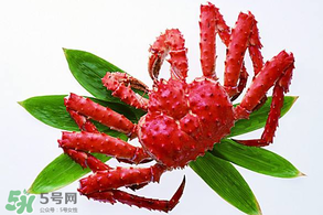 香椿能和海鮮一起吃嗎？香椿和海鮮能一起吃嗎？