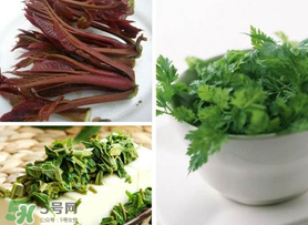 香椿和香菜能一起吃嗎？香椿和香菜怎么做？