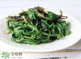 香椿和芹菜能一起吃嗎？香椿可以和芹菜同吃嗎？