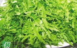 痛風(fēng)能吃苦菊嗎？苦菊痛風(fēng)人可以吃嗎