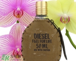 diesel迪塞爾是什么牌子？diesel是哪個(gè)國家的？