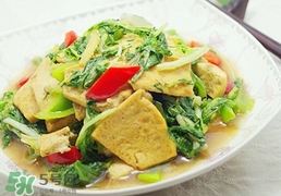 苦菊能和豆腐一起吃嗎？苦菊可以和豆腐一起吃嗎